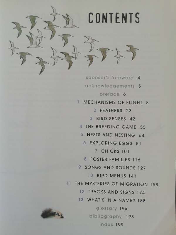 Sasol Birds : The Inside Story / Rael & Helene Loon