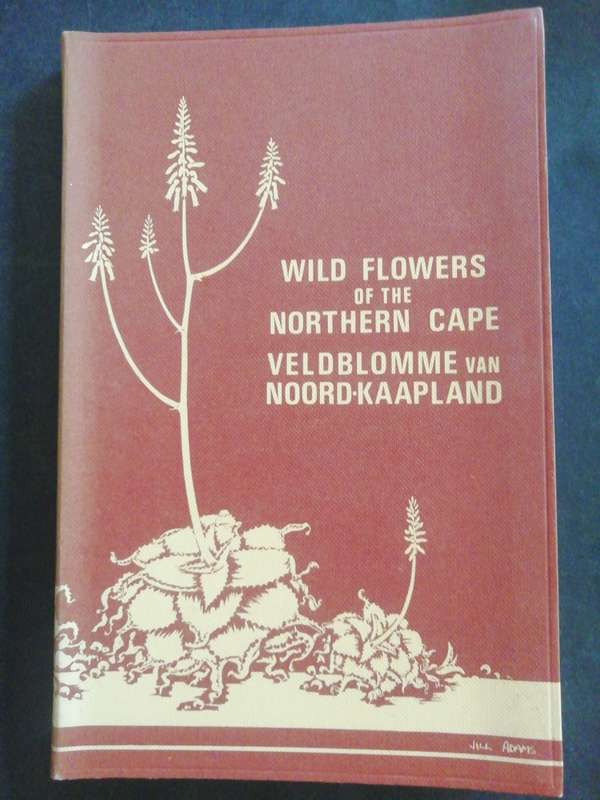 Wild Flowers of the Northern Cape : Veldblomme van Noord-Kaapland / Jill Adams
