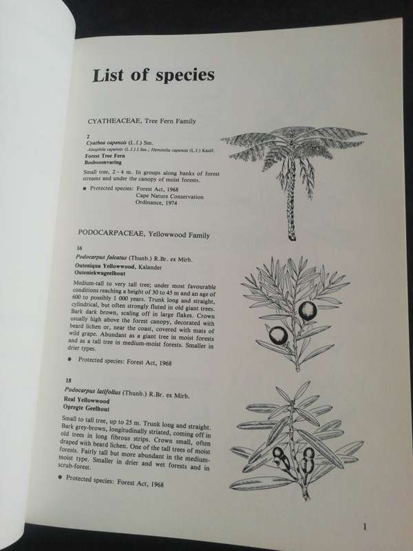 Southern Cape Tree Guide / F. von Breitenbach