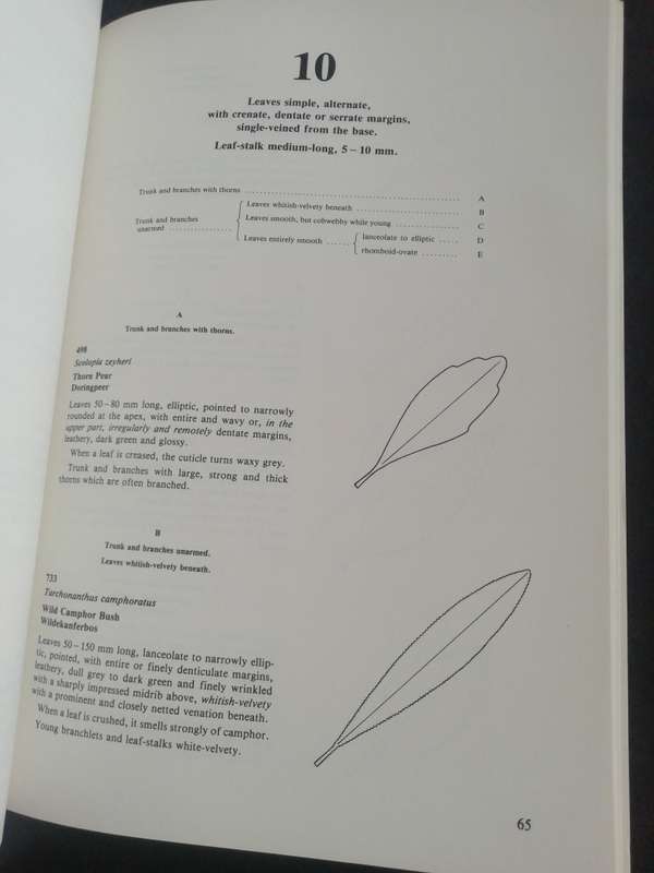 Southern Cape Tree Guide / F. von Breitenbach