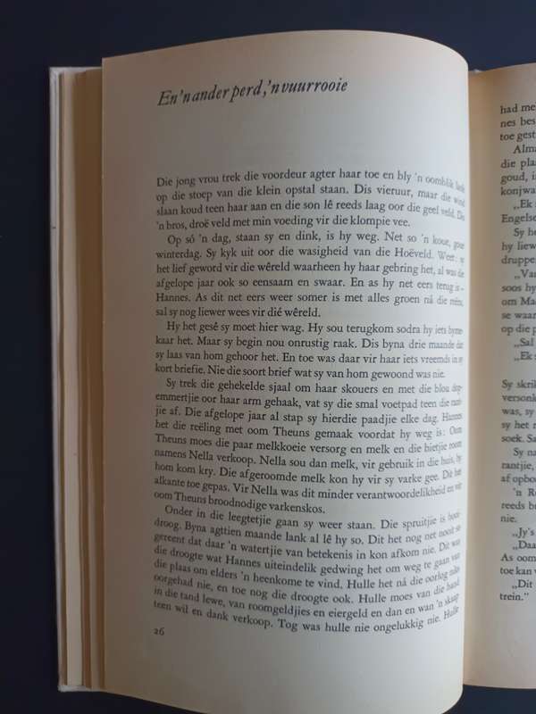 Wat op die middag verwoes / Margaret Bakkes