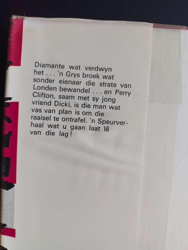 Die man met die grys broek / Wolfgang Ecke