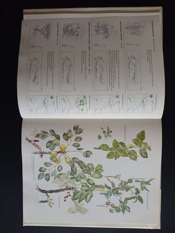 Trees & Shrubs of the Witwatersrand, Magaliesberg & Pilanesberg / J. van Gogh & J. Anderson (SIGNED)