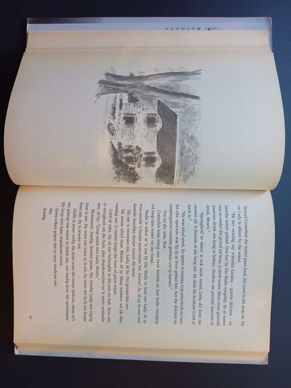 Die Uitgespoeldes / Dalene Matthee