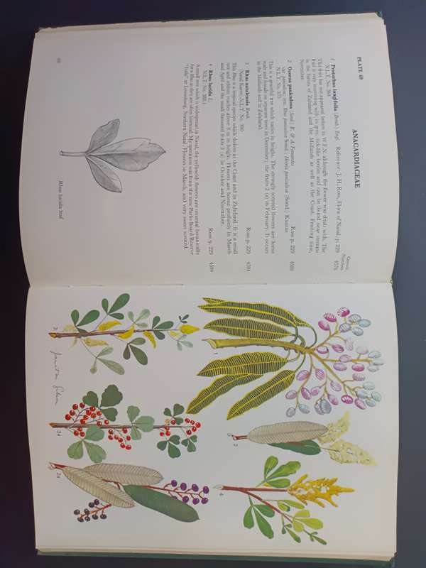 Wild Flowers of Natal ( Inland Region) / Jant M Gibson (Signed & Limited Edition)