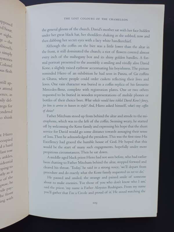The Lost Colours of the Chameleon / Mandla Langa