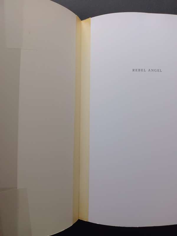 Rebel Angel / Robin Malan