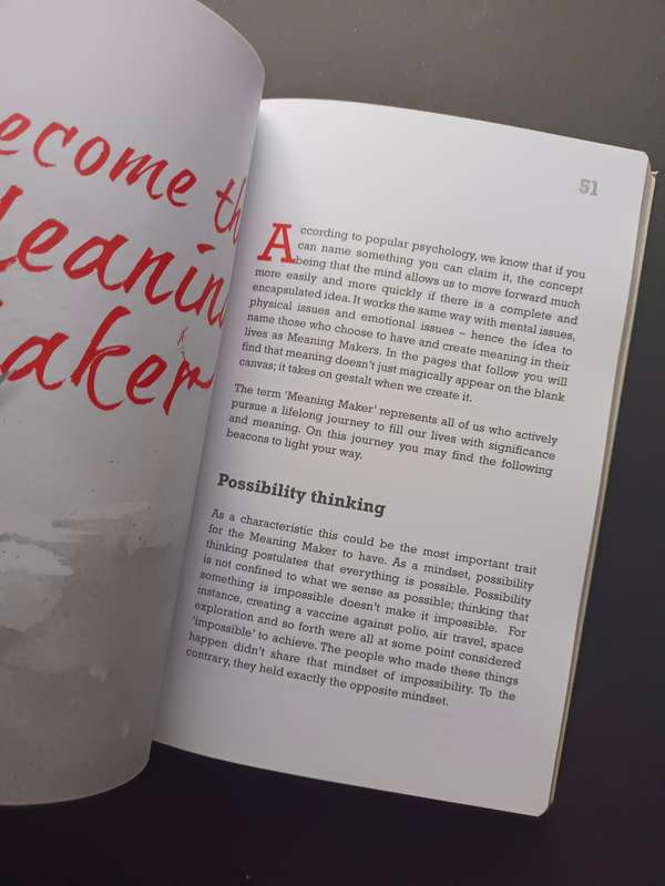 Life Has No Meaning Until You Create It / Rinus Le Roux