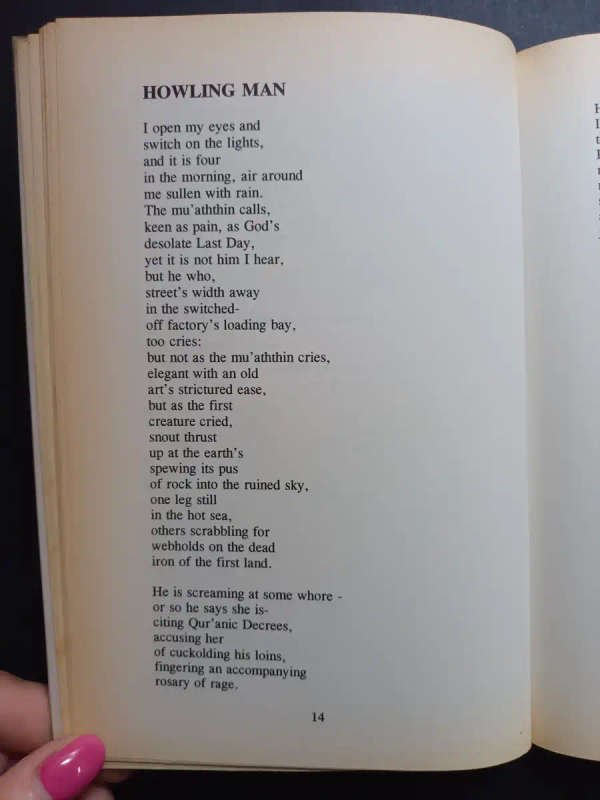 Flesh and the Flame / Tatamkhulu Afrika