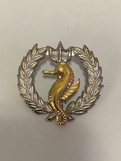 S.A. Navy Independent Ships and Air/ Sea and Rescue Flotilla. All pins