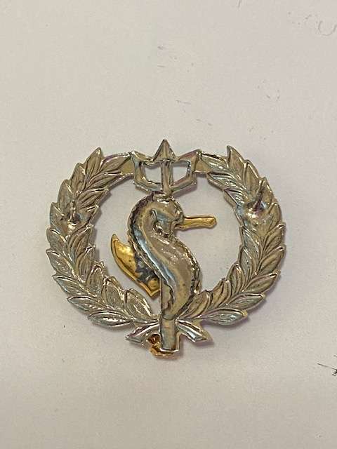 S.A. Navy Independent Ships and Air/ Sea and Rescue Flotilla. All pins
