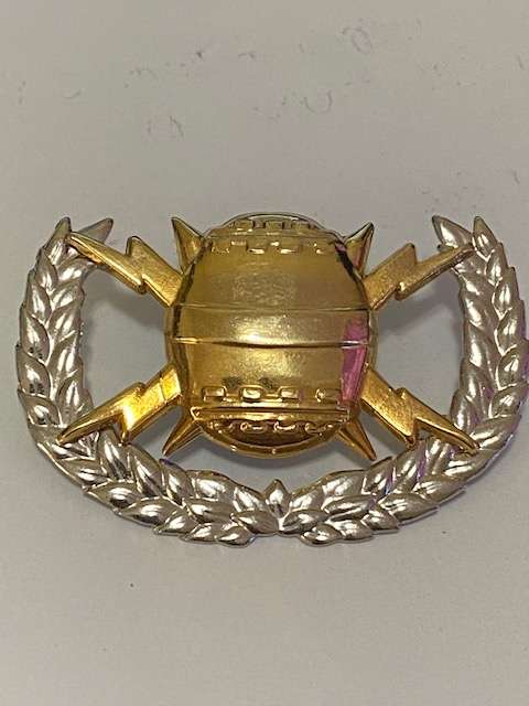 S.A. Navy Mine Countermeasures Flotilla Breast Badge. All pins