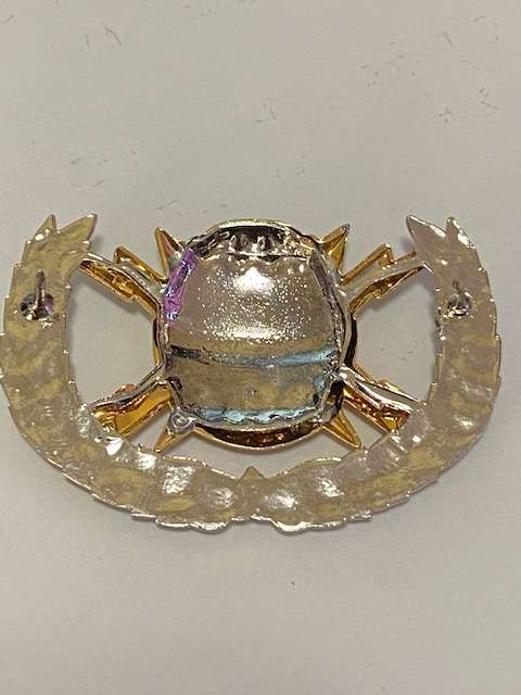 S.A. Navy Mine Countermeasures Flotilla Breast Badge. All pins