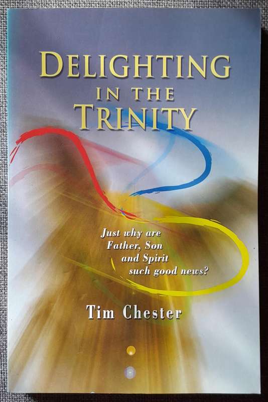 Delighting in the Trinity - Tim Chester