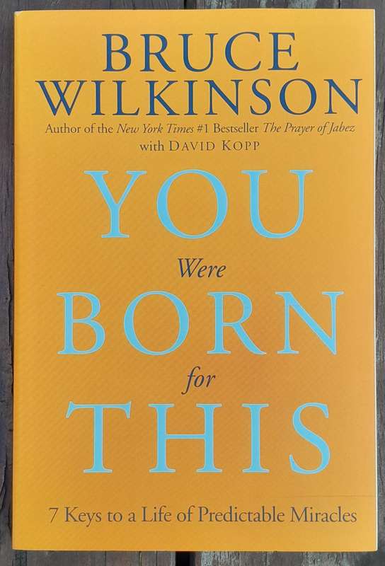 You were born for this - Bruce Wilkinson (Good as new)