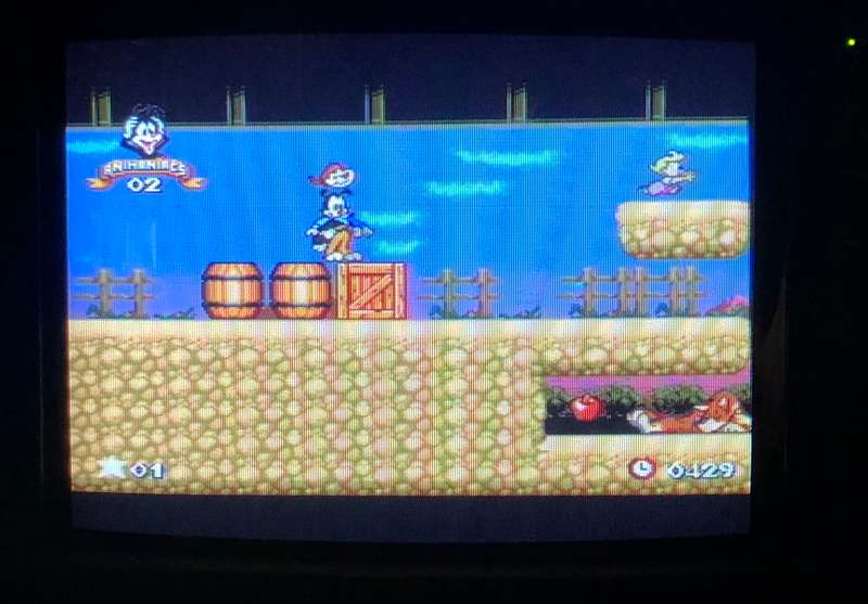 Animaniacs - Sega Genesis