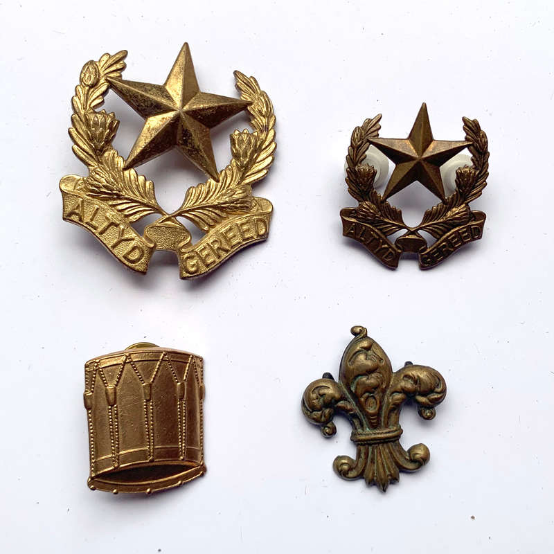 Various brass badges