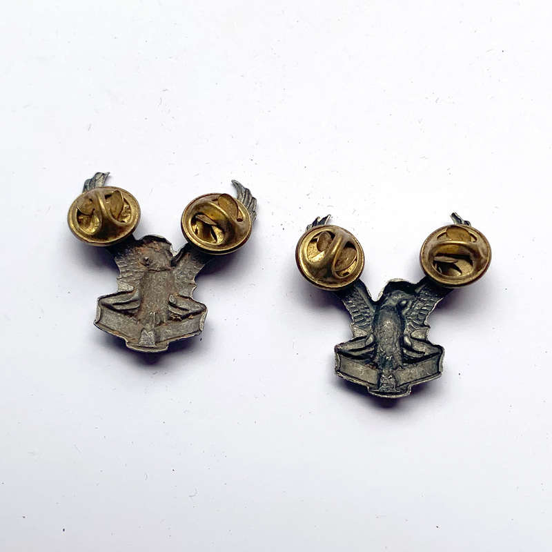 SWA TF Air Force  collar badges (facing)
