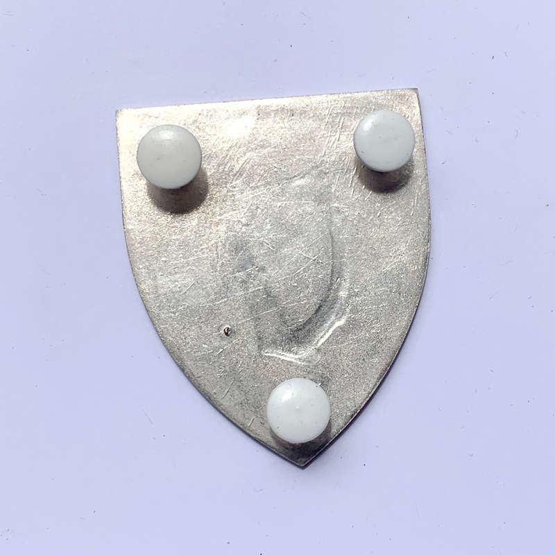 SA Irish Regiment shoulder flash