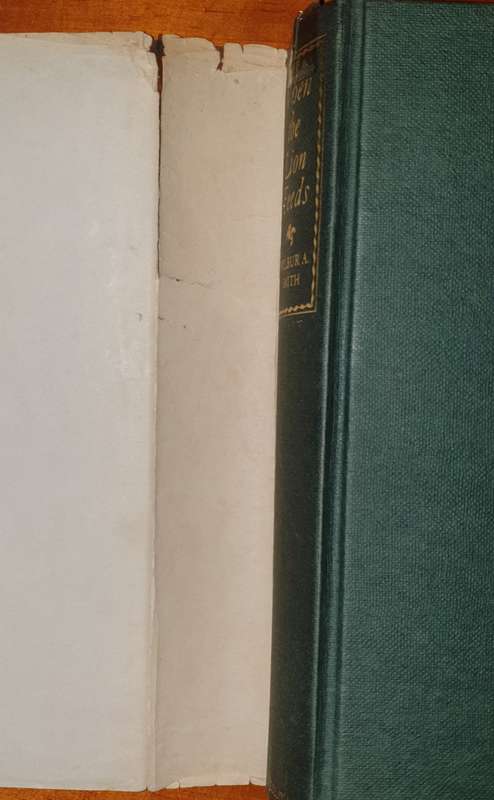 *1964* When the lion Feeds - Wilbur Smith.