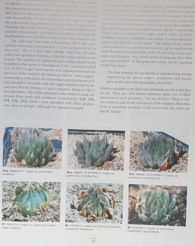 Haworthia Update - Essays on Haworthia, Bruce Bayer