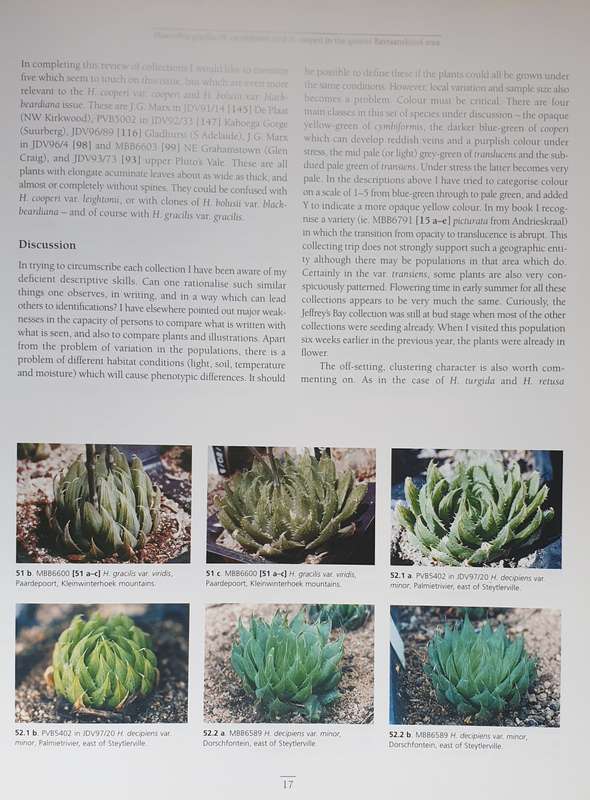 Haworthia Update - Essays on Haworthia, Bruce Bayer