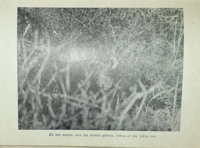 *1951* Rolprent Avonture - Sangiro (Nie Fiksie)