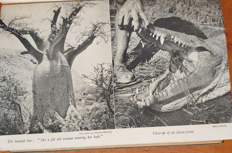 Crocodile Fever (1954) Lawrence Earl