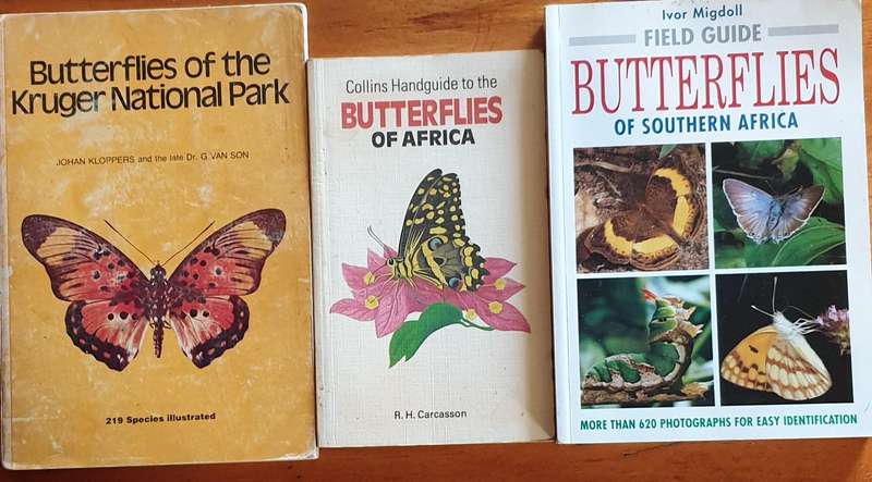 Butterflies of Africa / Southern Africa & Kruger National Park