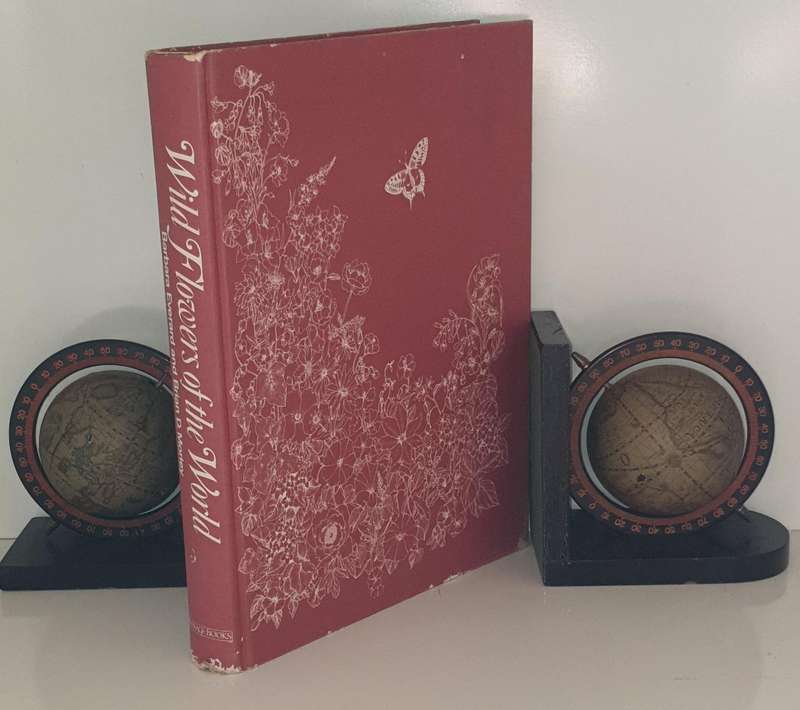 Wild Flowers of the World - Everard & Morley