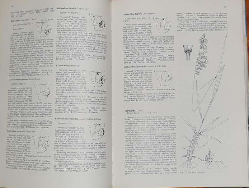 Grasses of Southern Africa - Ed. O.A. Leistner