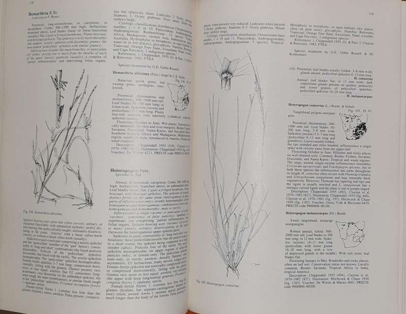 Grasses of Southern Africa - Ed. O.A. Leistner