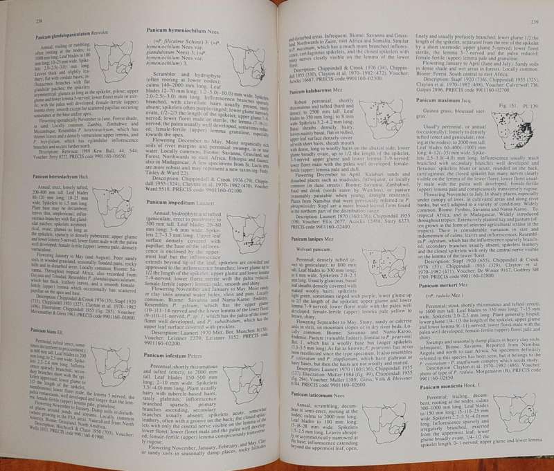 Grasses of Southern Africa - Ed. O.A. Leistner