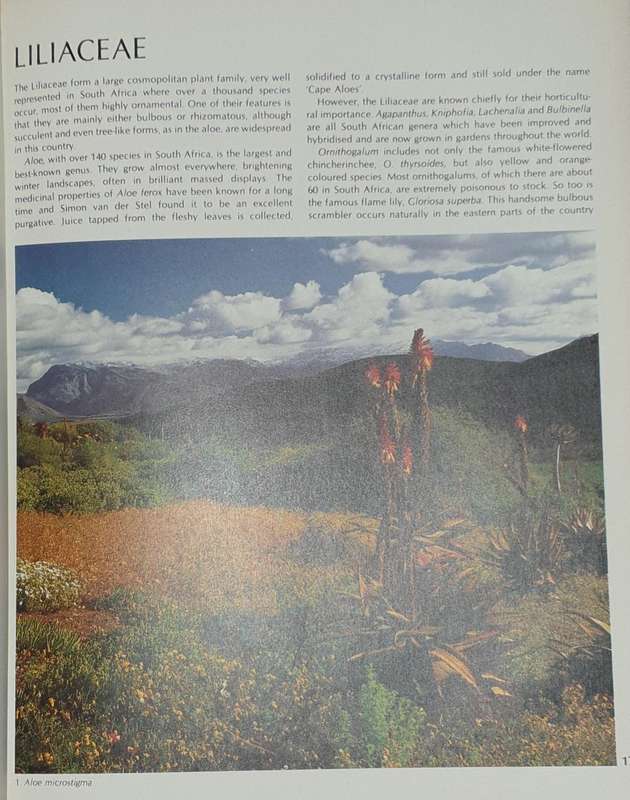 Wild Flowers of Southern Africa - The National Botanic Gardens of South Africa