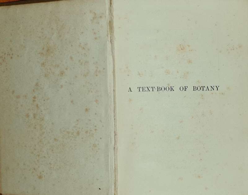 *1920* A Textbook of Botany - Lowson