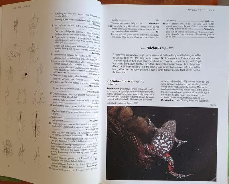 Reptiles and Amphibians of Australia - Massive Book