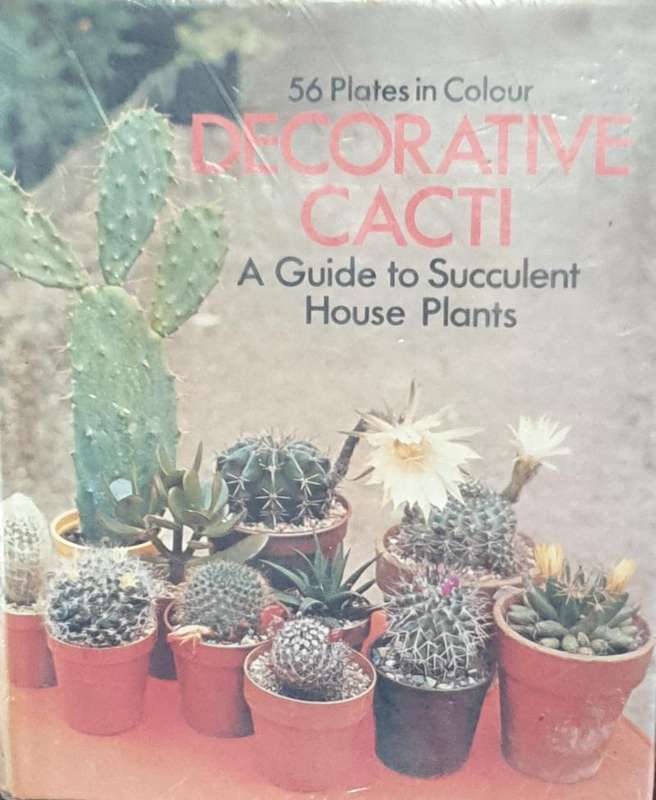 Decorative Cacti - A Guide to Succulant House Plants