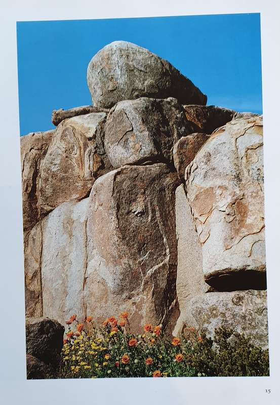 Namaqualand - Garden of the Gods (F. Patterson)