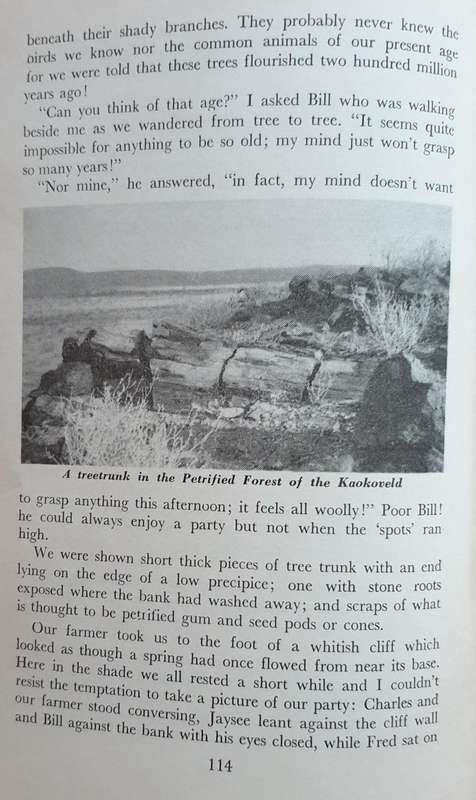 Faraway Sandy Trails (S.W.A) L. M. Newton