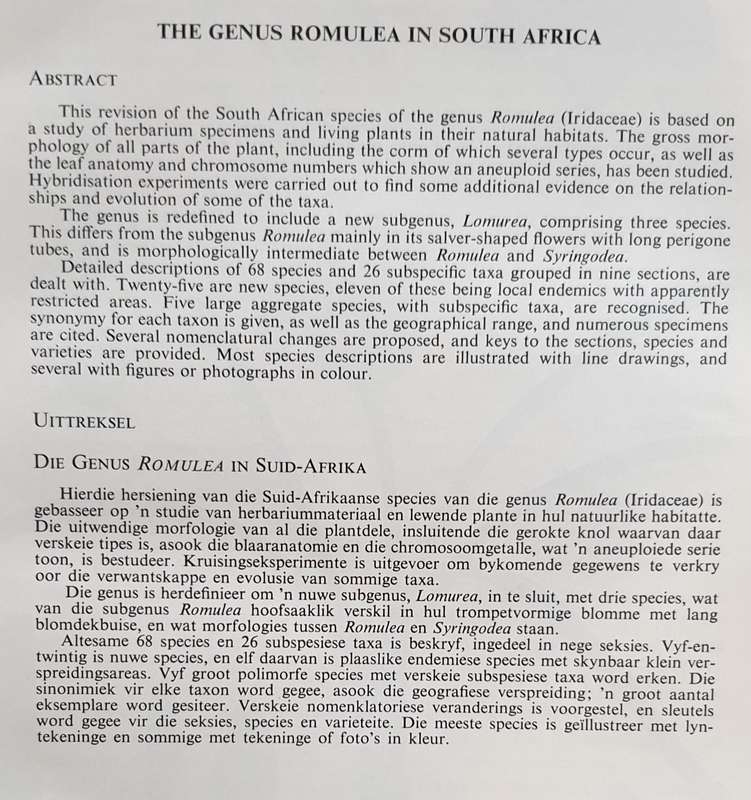The GENUS ROMULEA in South Africa - Miriam P. De Vos