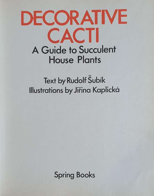 Decorative Cacti - A Guide to Succulant House Plants