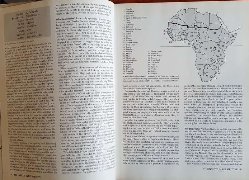 AFRICAN INSECT LIFE - S. K. Skaife (Large H/C)