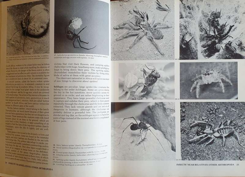 AFRICAN INSECT LIFE - S. K. Skaife (Large H/C)