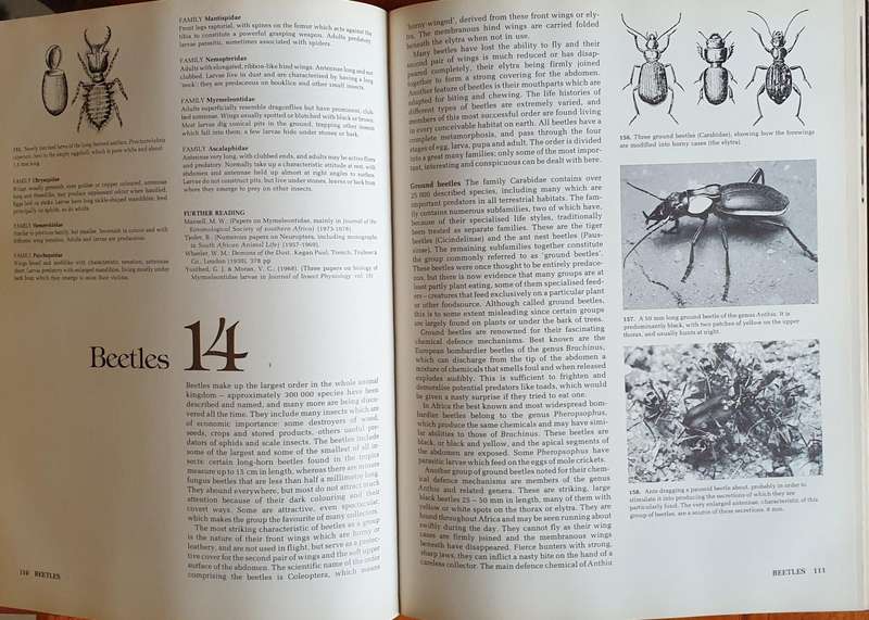 AFRICAN INSECT LIFE - S. K. Skaife (Large H/C)
