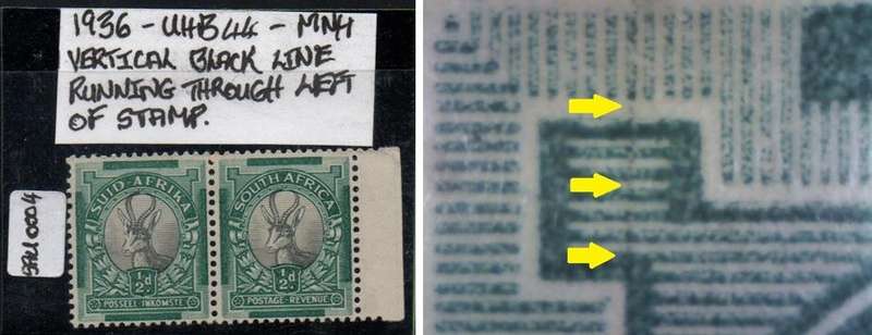 1936 Union Hyphenated Definitive 1/2d pair with variety in MNH-condition