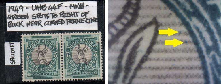 1949 Union Hyphenated & Screened Definitive 1/2d pair with variety in MNH-condition