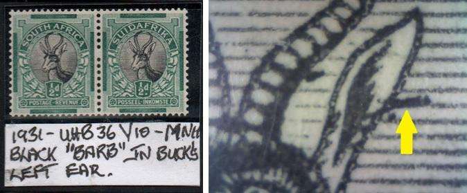 1931 Roto Definitive 1/2d-pair with listed variety in MNH-condition