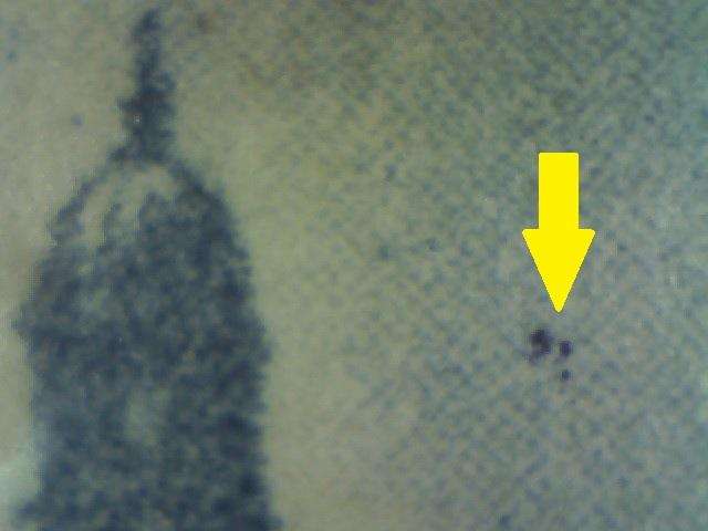1948 Hyphenated Definitive 2d-pair with variety in LMM-condition