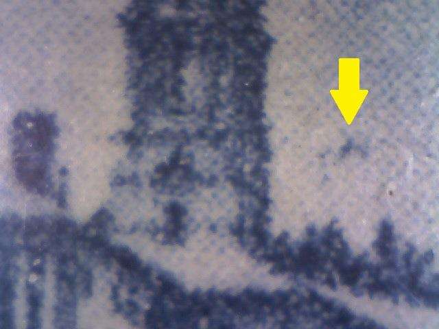 1950 Hyphenated & Screened Definitive 2d-pair with variety in MNH-condition