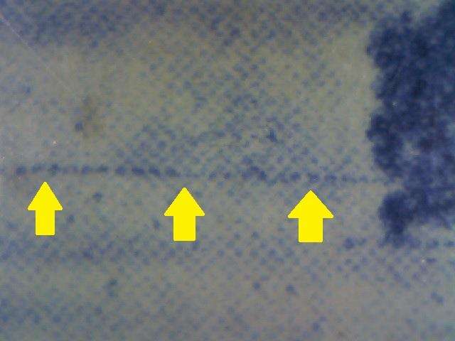 1949 Hyphenated & Screened Definitive 3d-pair with variety in MNH-condition